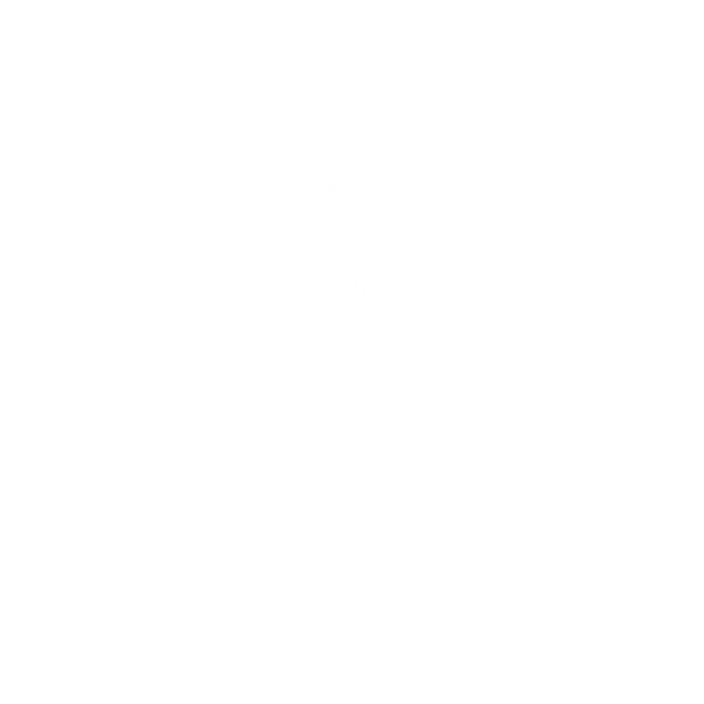Cheer Dad Life logo